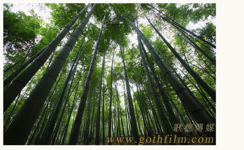 塔尔萨大学Diploma in Business Management